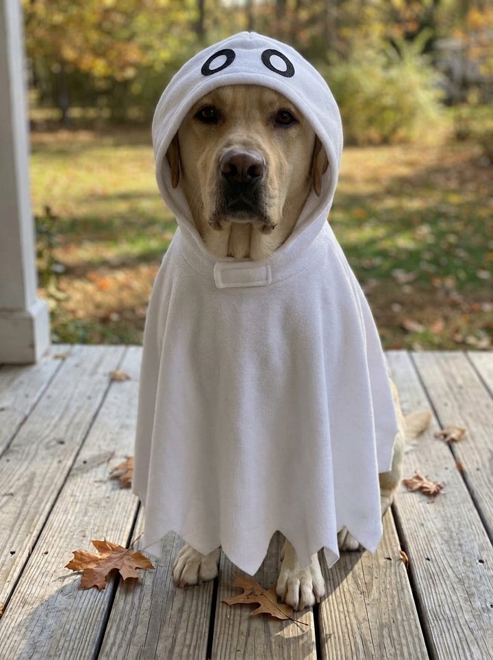 Ghost costume